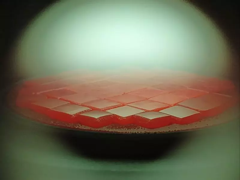 Lote de diamantes cultivados en laboratorio CVD