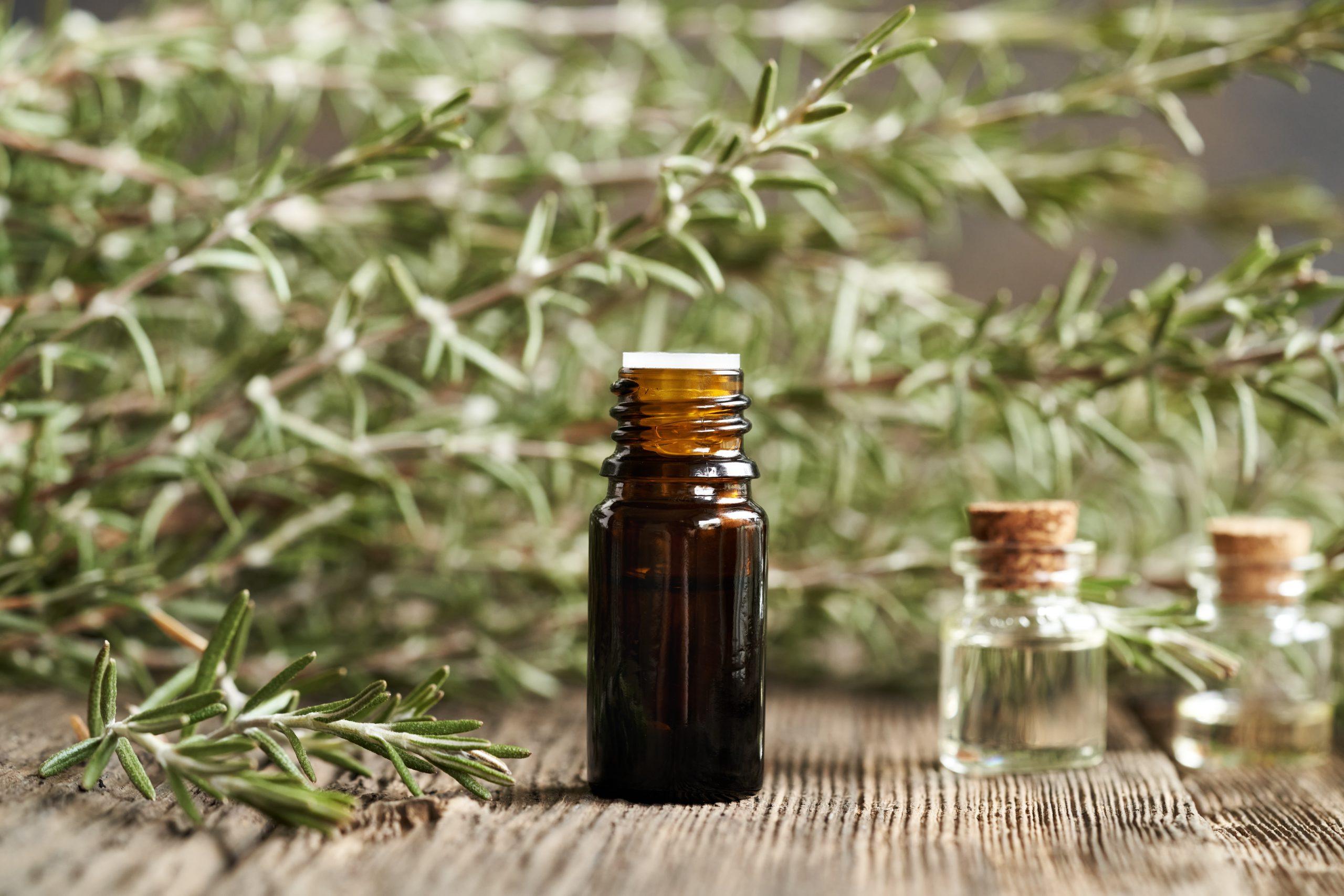 Rosemary leaf extract obtained by microwave- and ultrasound-assisted extraction